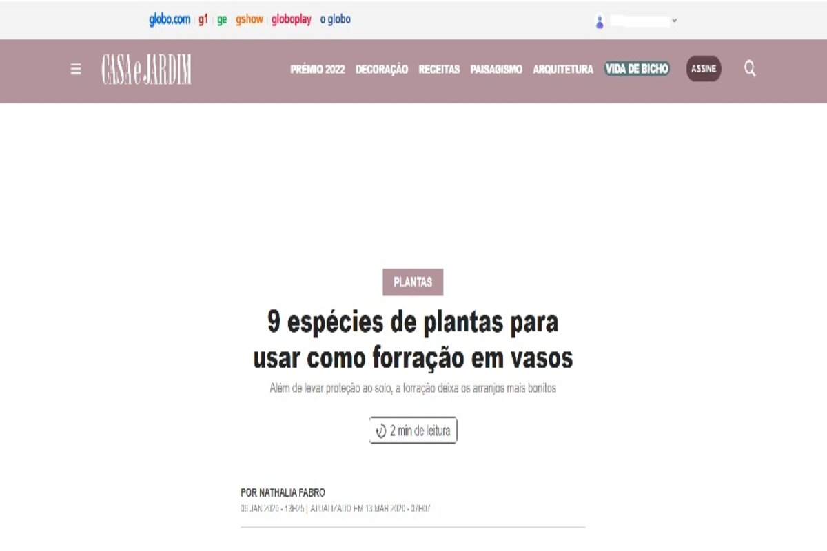 Imagem extraída do site Globo