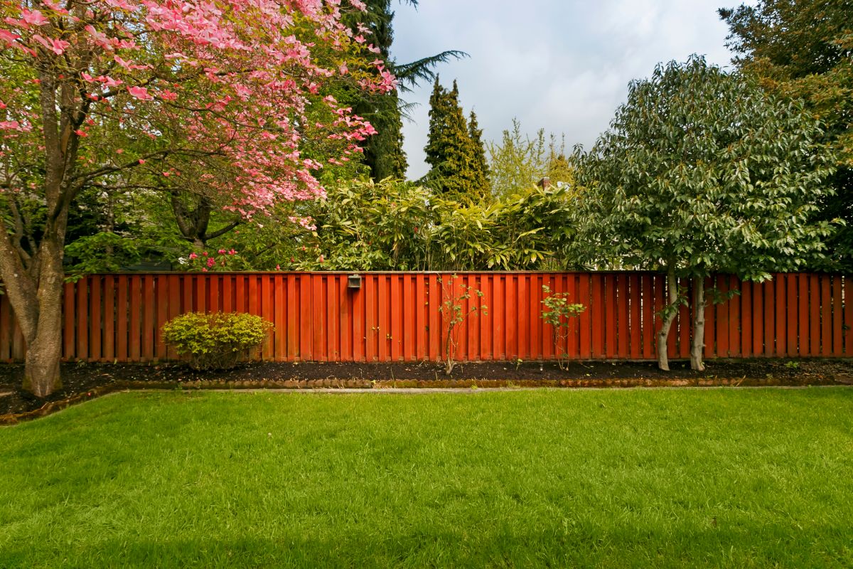 Dicas essenciais para ter um lindo quintal; conheça os detalhes que fazem toda a diferença - Fonte: canva