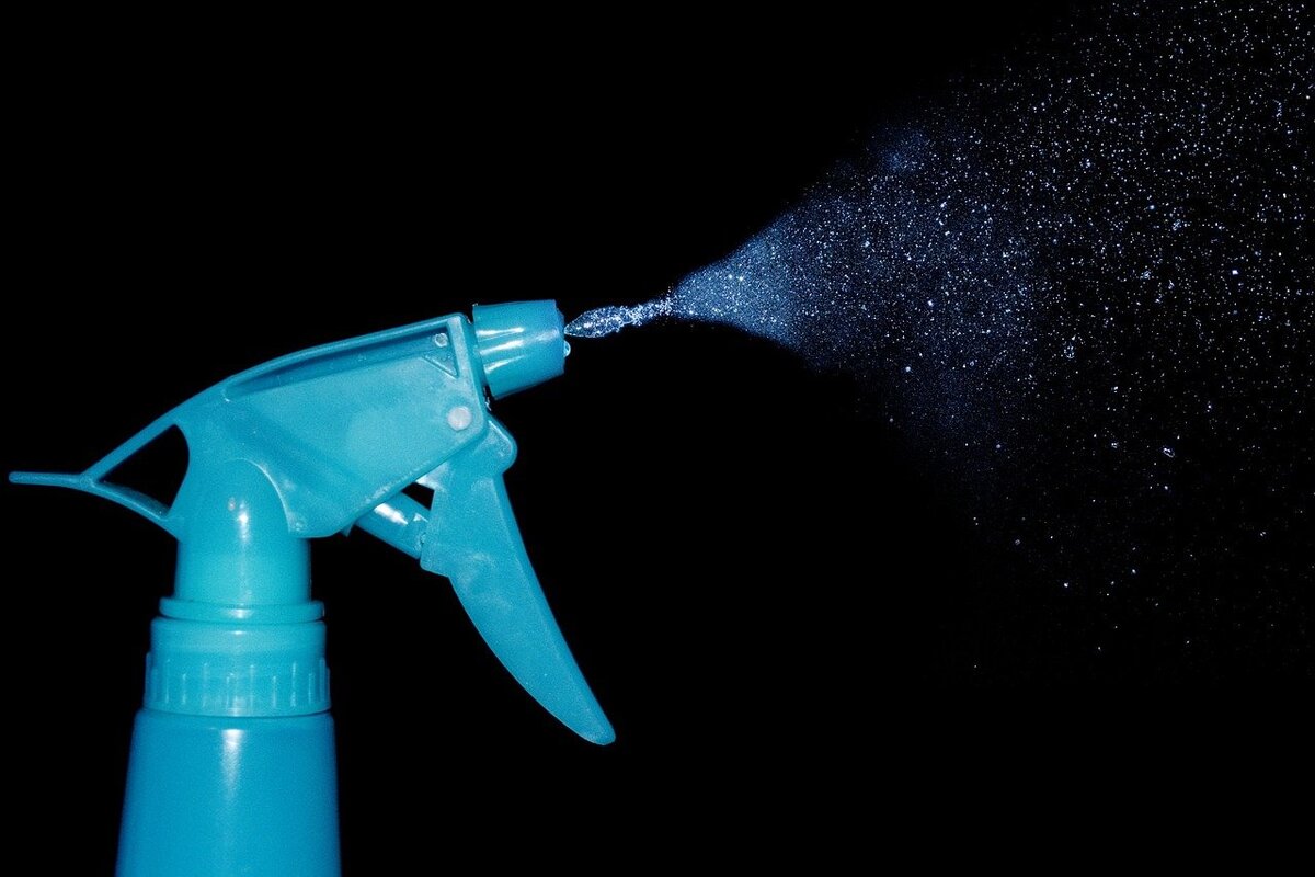 Pode borrifar água com detergente nas plantas? Entenda se isso ajuda ou não as suas plantinhas - Foto: Pixabay