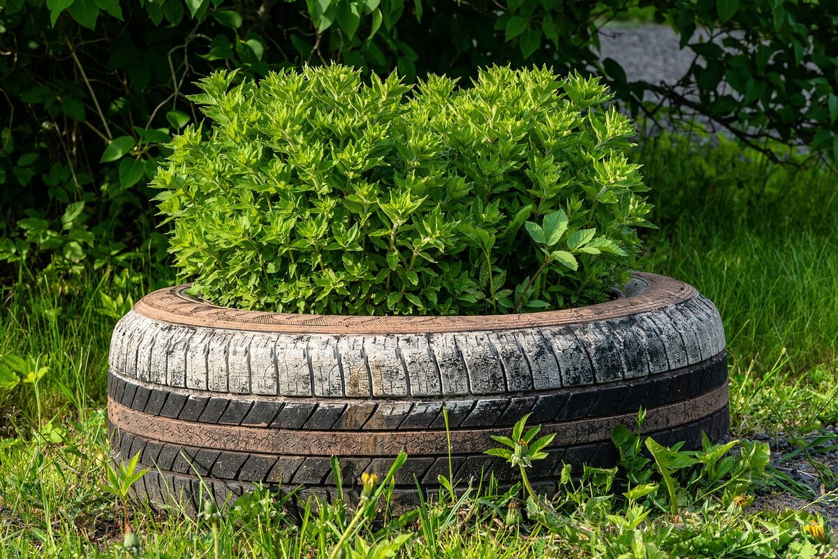 A jardineira de pneu além de linda é sustentável, confira aqui - Foto: Pixabay