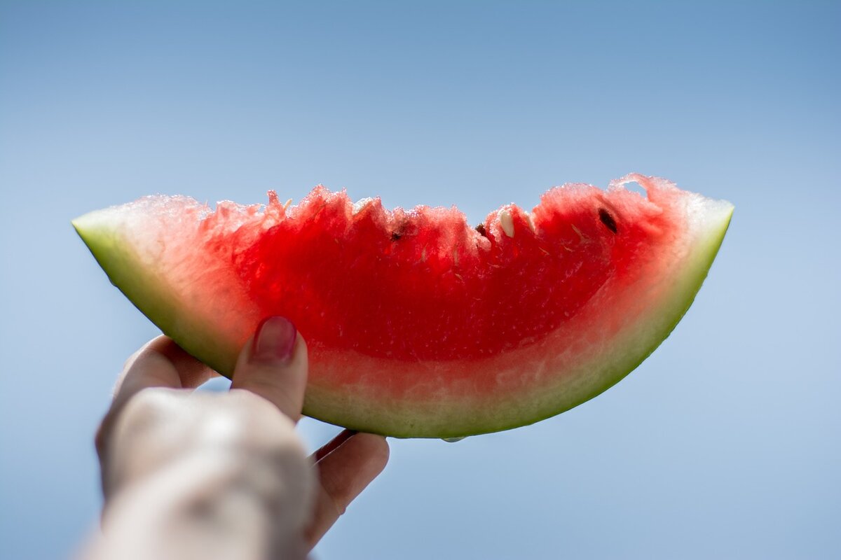 3 formas de aproveitar a casca de melancia no dia a dia, veja agora - Foto: Pixabay