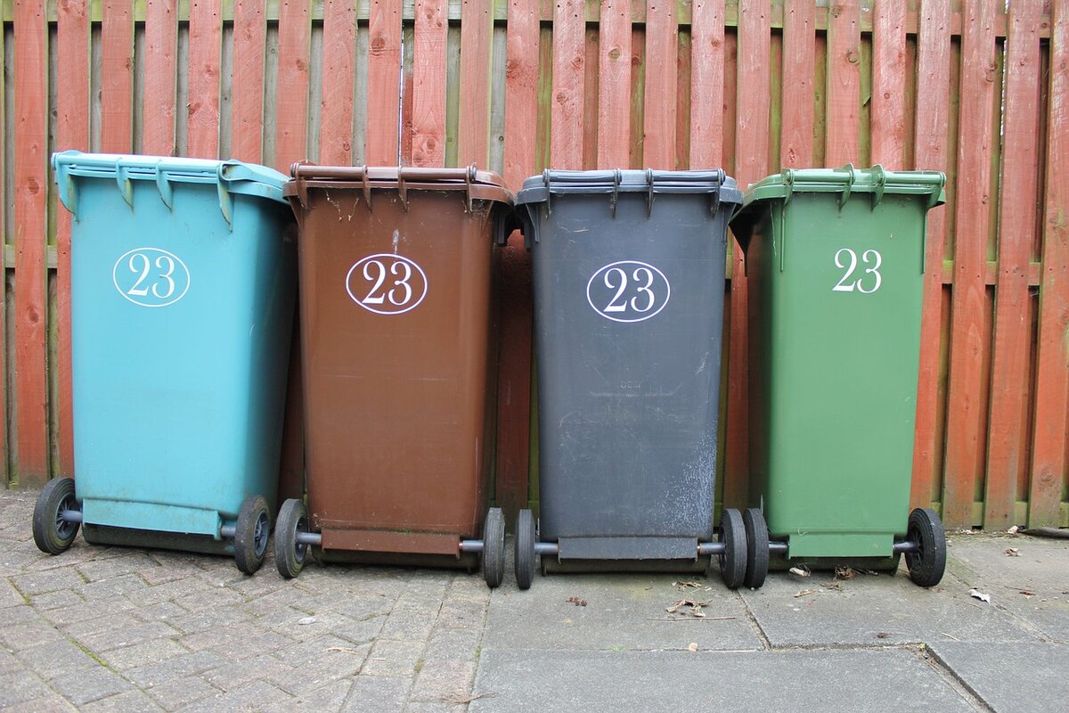Diferença entre lixo orgânico e inorgânico, aprenda a separar corretamente - Foto: Pixabay