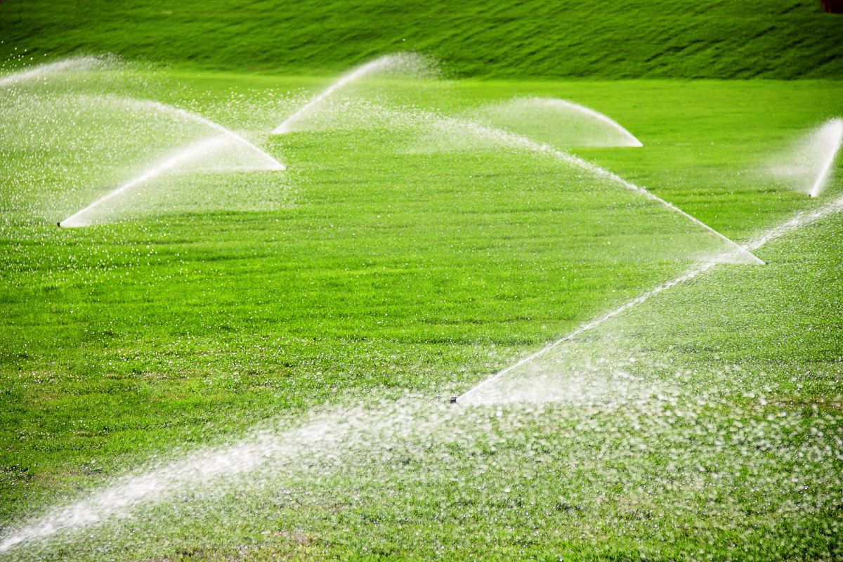 Qual o melhor sistema de irrigação? Saiba qual o ideal para a sua realidade; veja agora