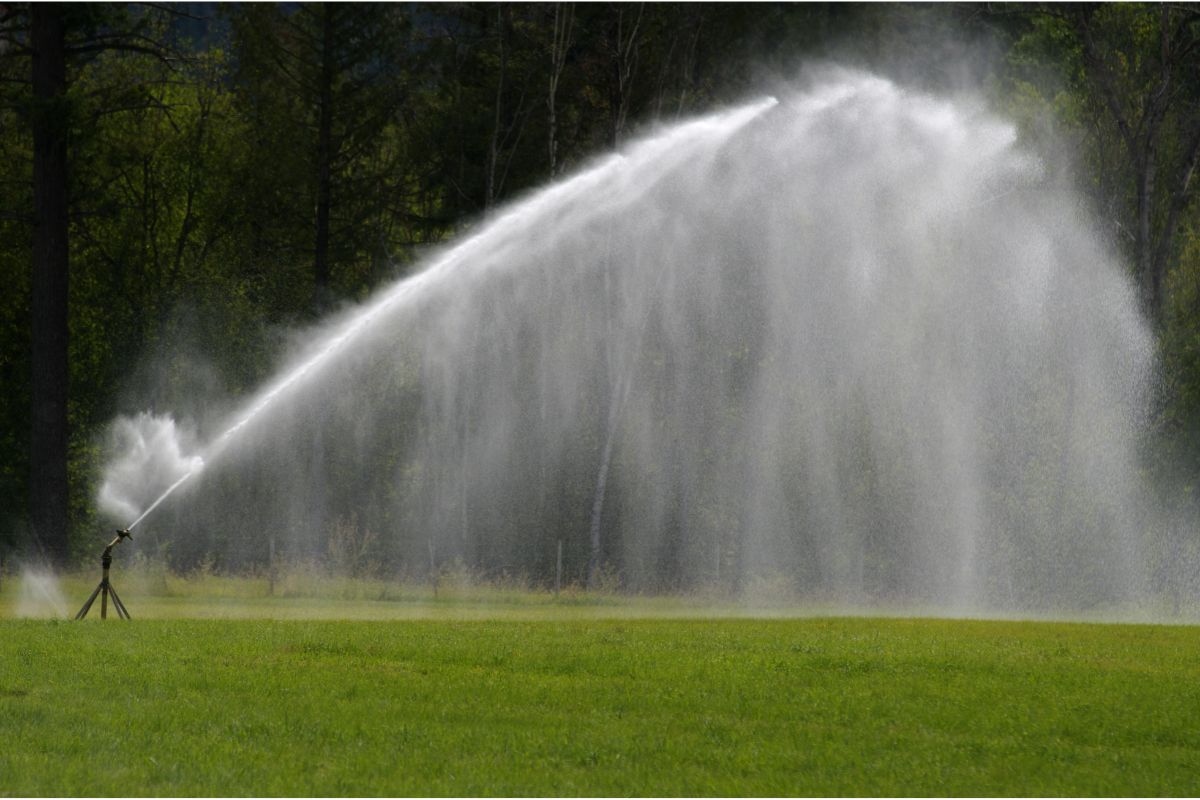 Qual o melhor sistema de irrigação? Saiba qual o ideal para a sua realidade; veja agora - Canva
