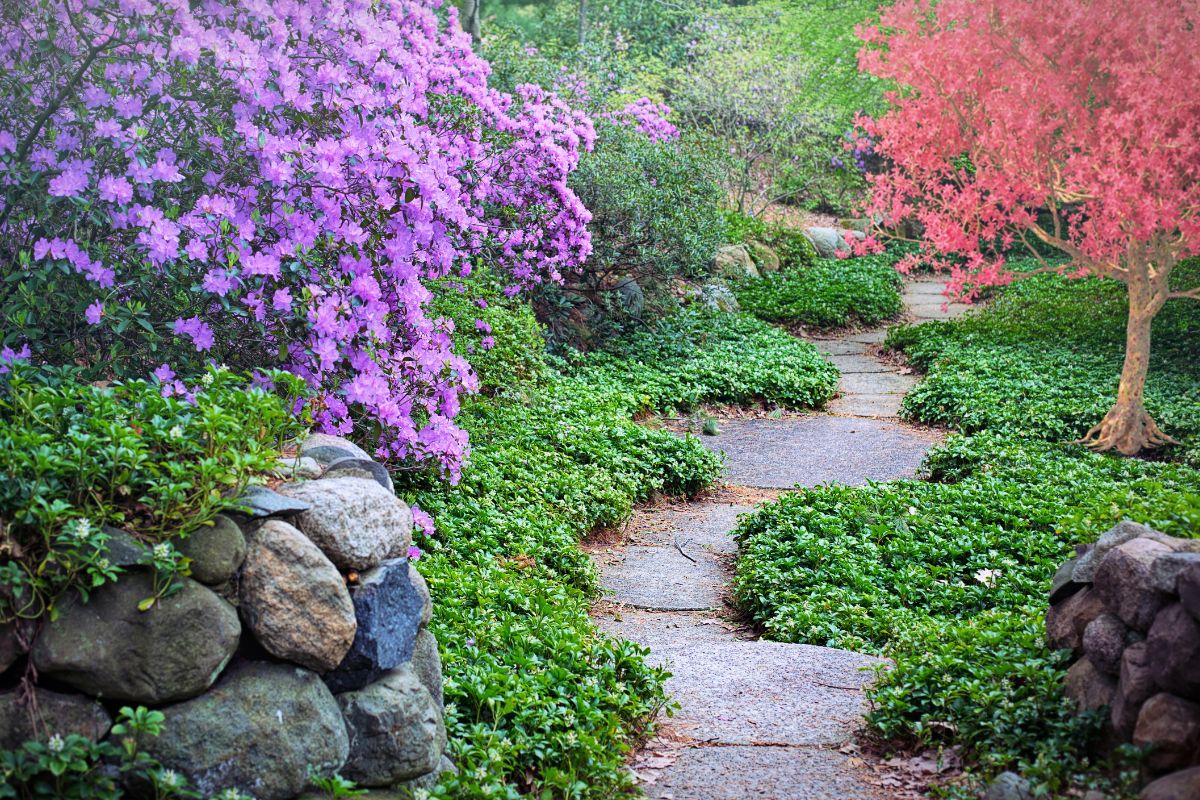 Pedras para jardim: conheça 5 tipos que fazem sucesso e são altamente duráveis - Reprodução Canva