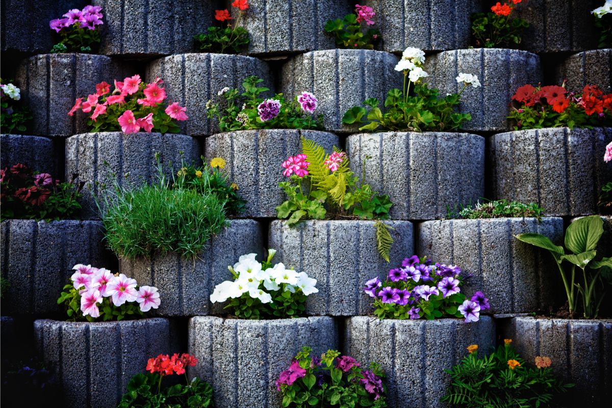 Como cultivar flores em muro? Veja como dar um toque especial nessa parte do quintal - Fonte: Canva