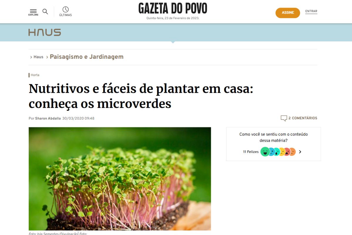 Microverdes Fonte( Gazeta do Povo)