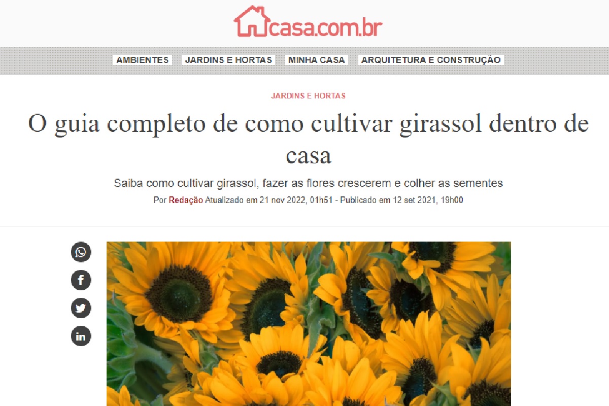 Reportagem girassol (Foto: portal Abril)