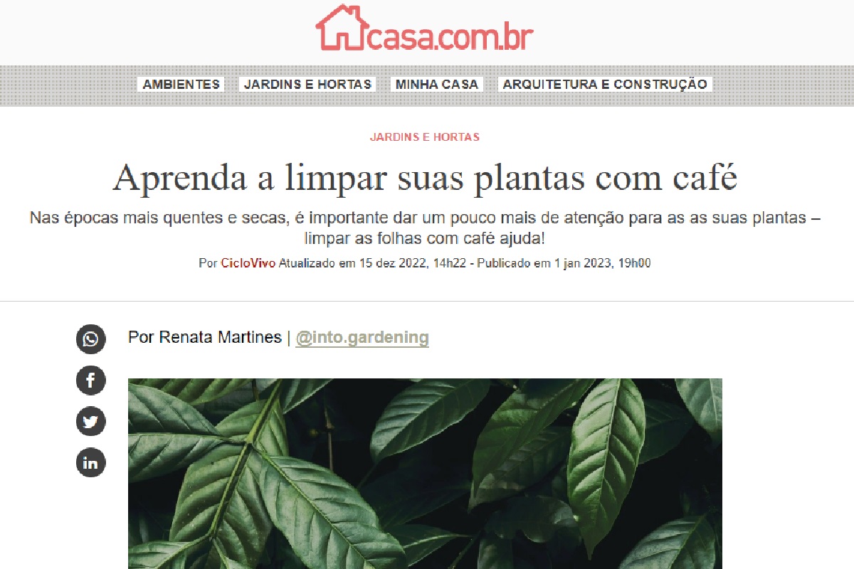 Reportagem sobre como limpas as plantas com café (Foto: Reprodução Portal Abril)