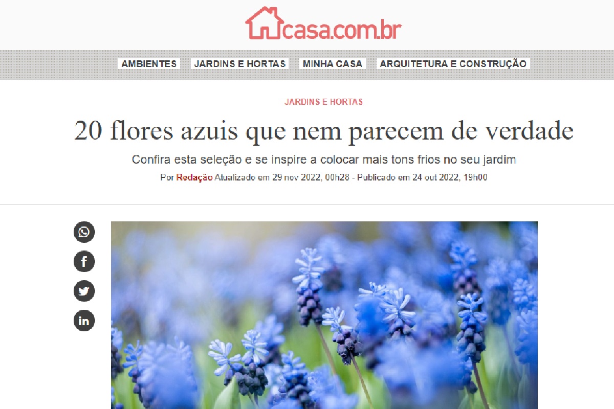 Reportagem sobre flores azuis (Foto: Reprodução Portal Abril)