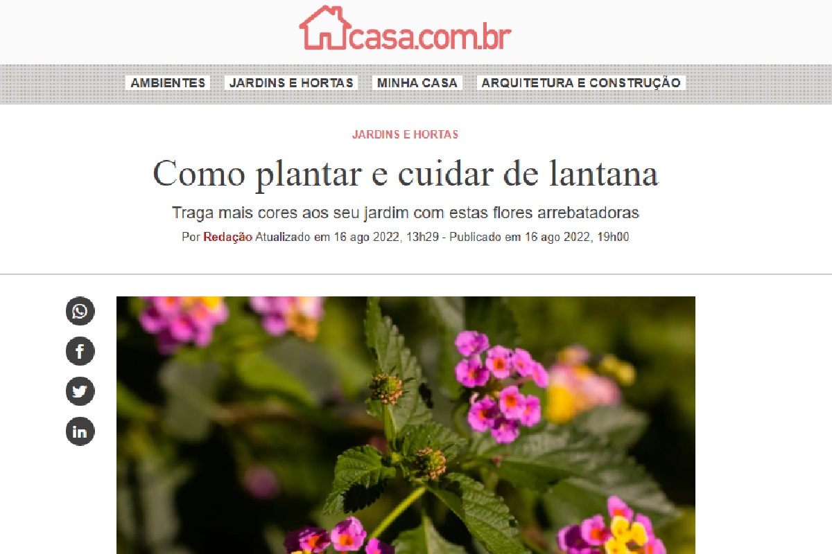 Reportagem sobre lantana (Foto: Reprodução Portal Abril)