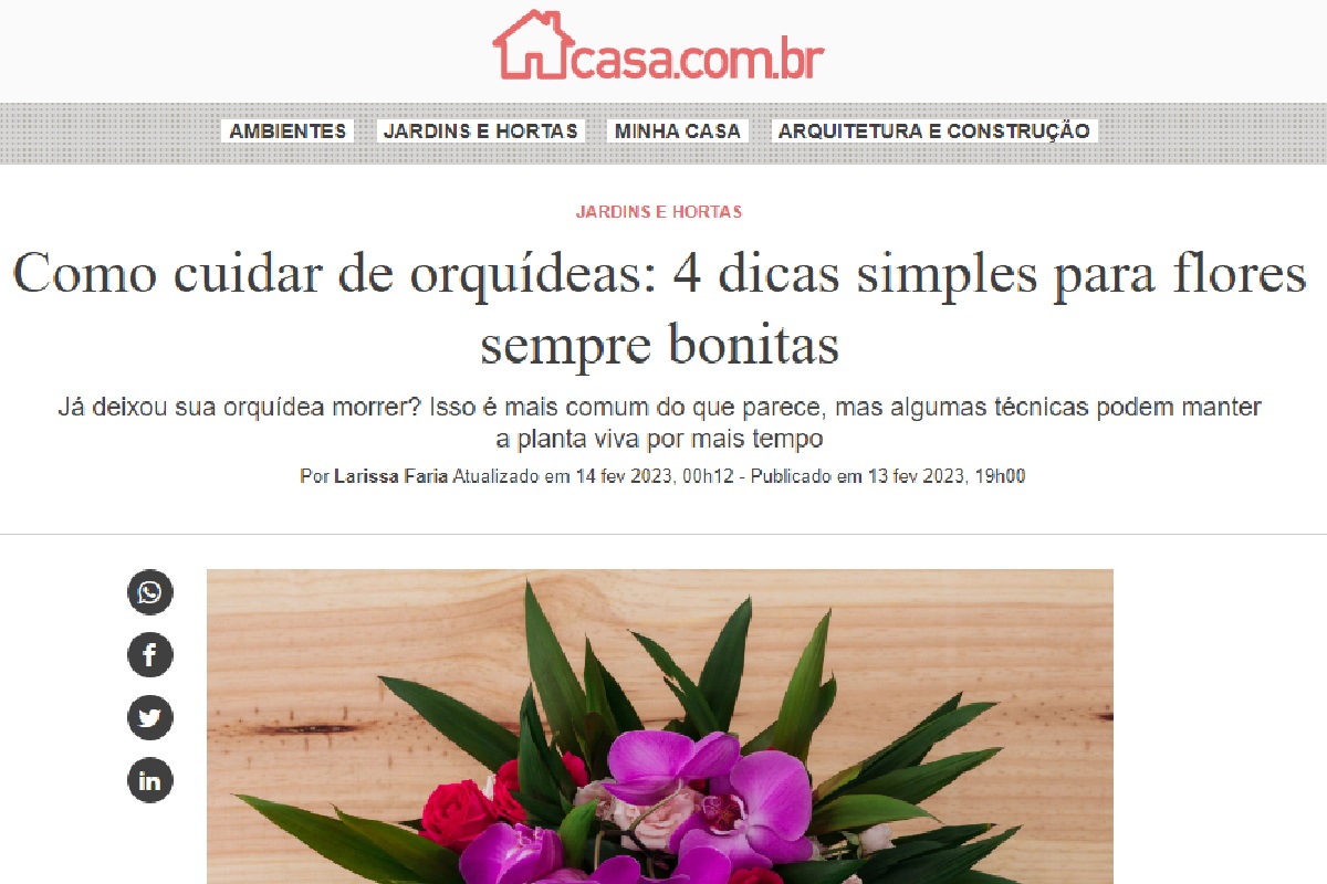 Reportagem sobre orquídeas (Foto: Reportagem Abril)