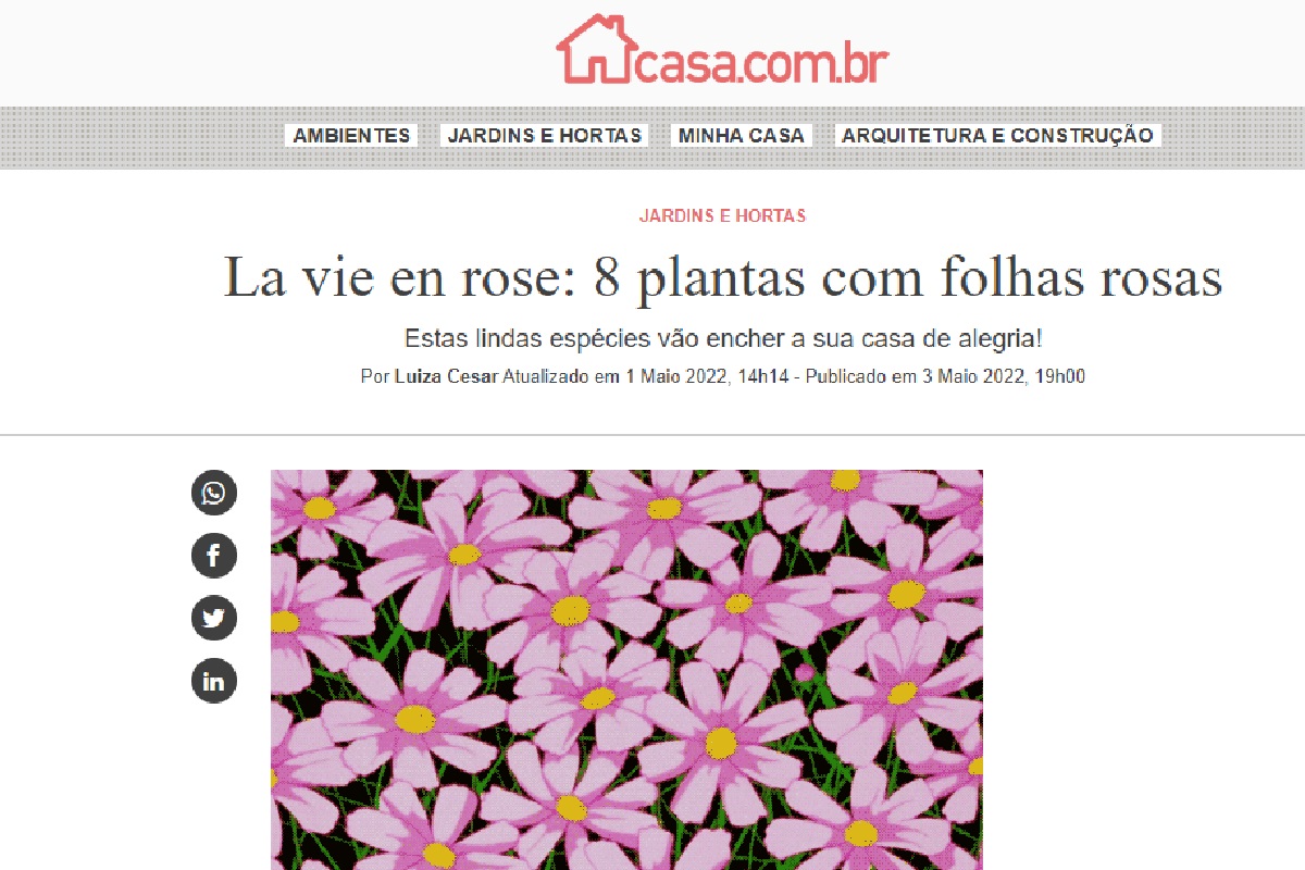 Reportagem sobre plantas com folhas rosas (Foto: Reportagem Abril)