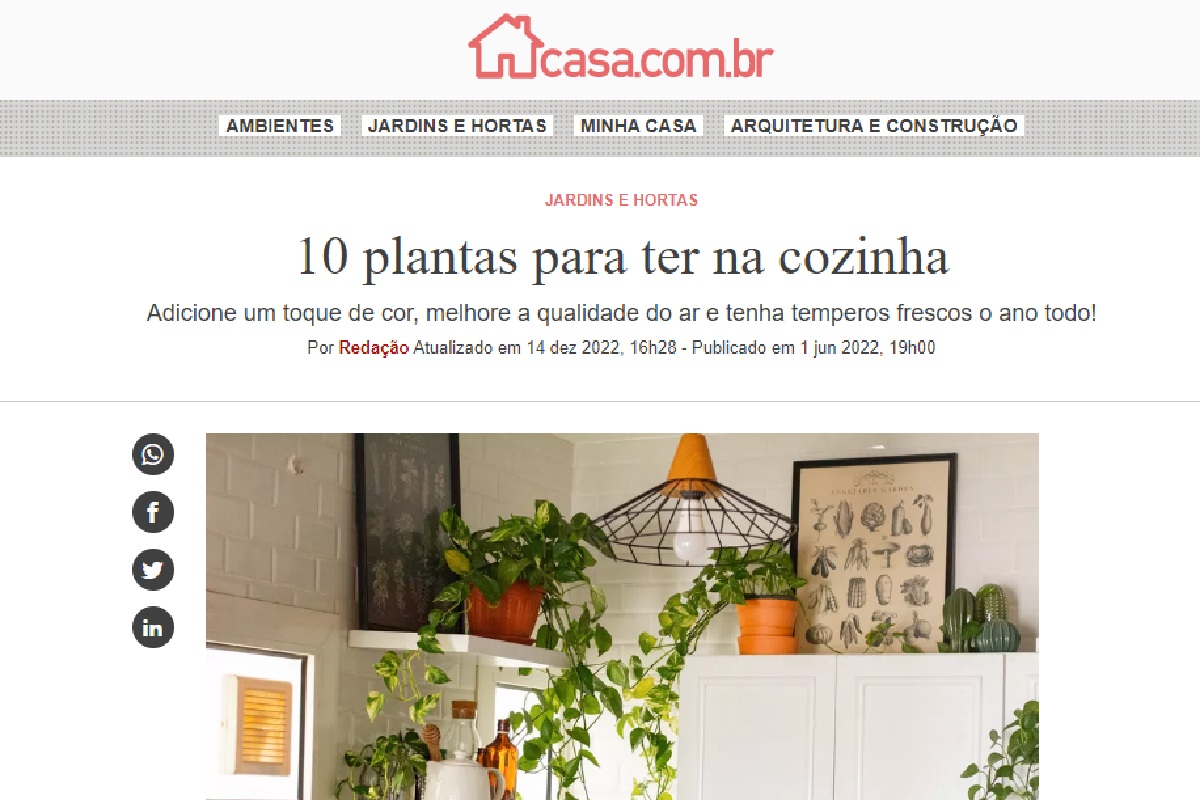 Reportagem sobre plantas para ter na cozinha (Foto: Reportagem Abril)