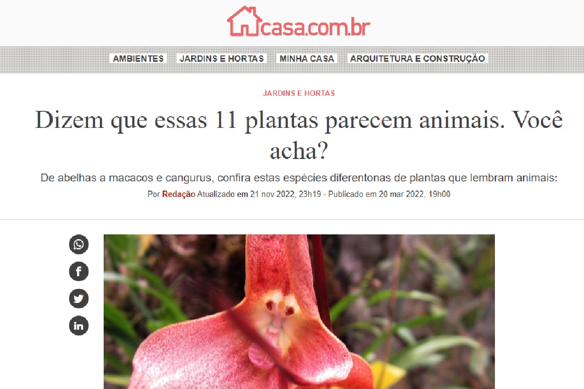 Reportagem sobre plantas que parecem animais (Foto: Reprodução Abril)