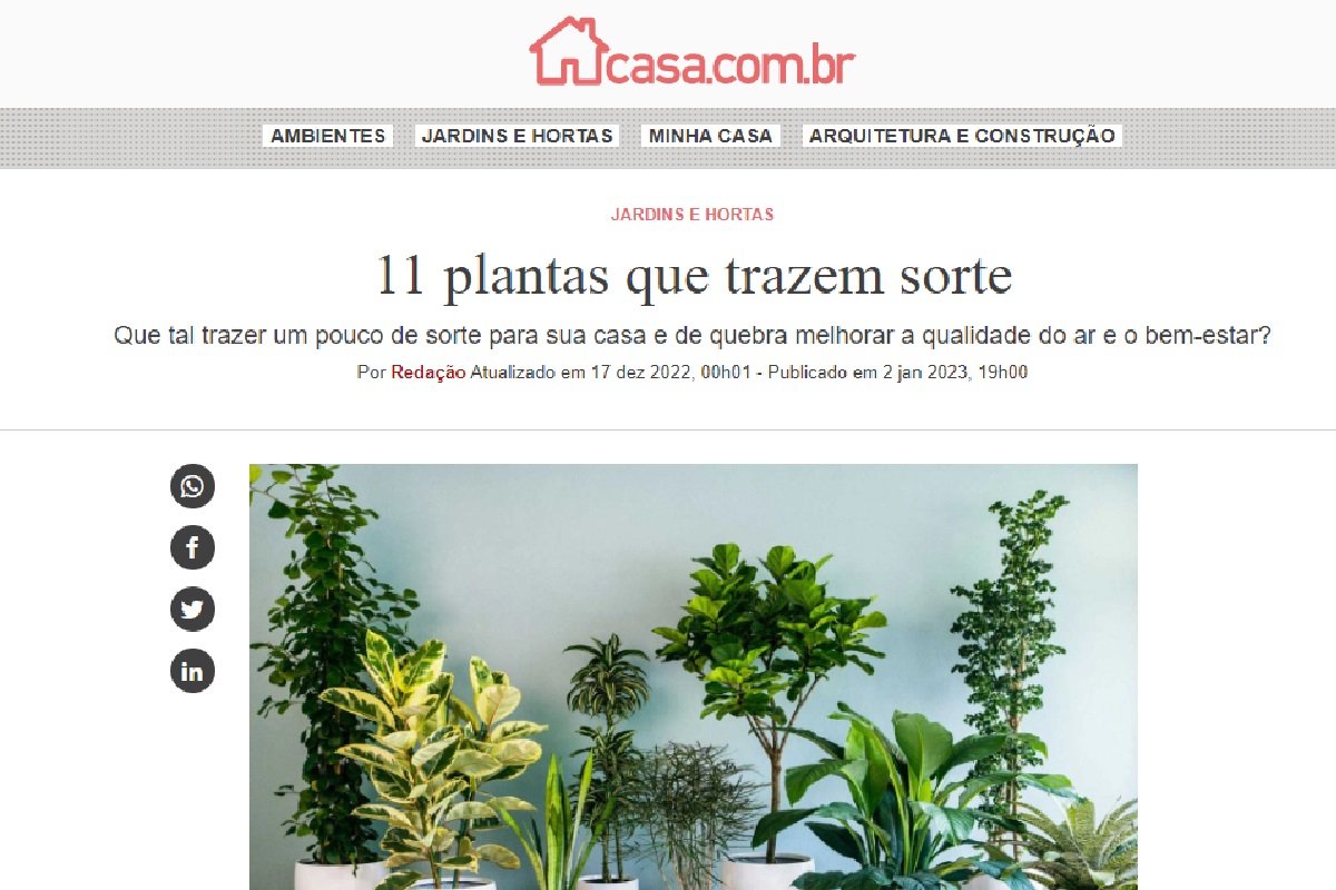Reportagem sobre plantas que trazem sorte (Foto: Reportagem Abril)Reportagem sobre sagu de jardim (Foto: Reportagem Abril)