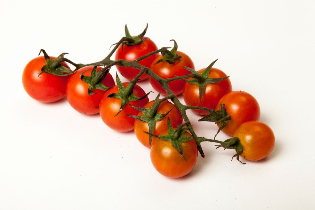Tomate-cereja: como ter um lindo tomateiro em casa para complementar a sua salada? Veja agora - Canva