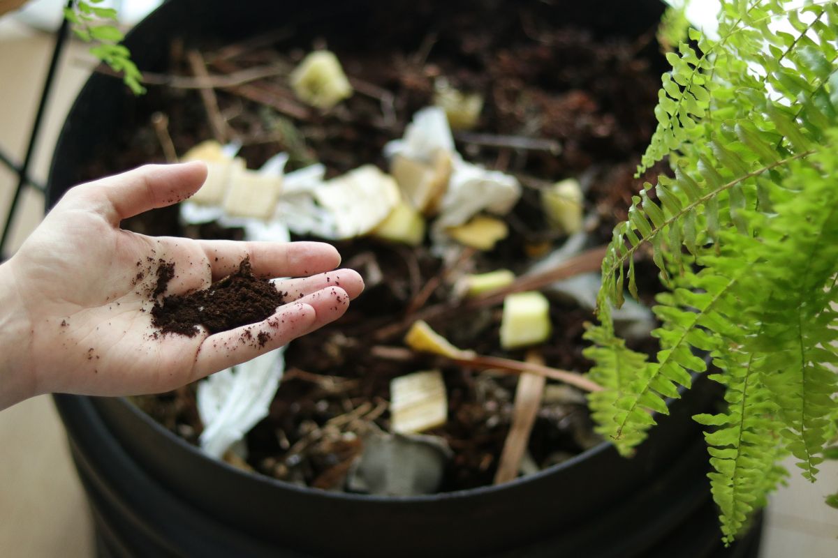 Compostagem caseira: como fazer seu próprio adubo e manter as plantas saudáveis - Reprodução Canva
