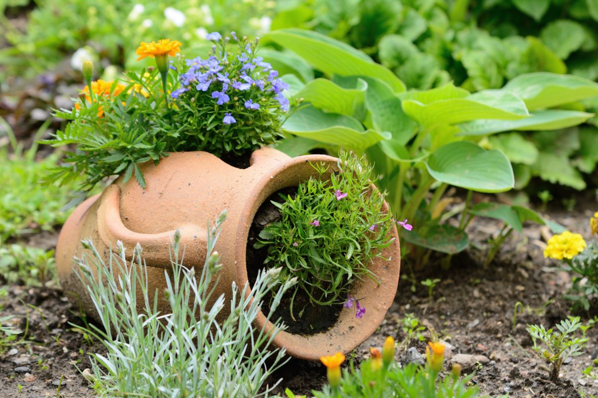 4 truques de decoração para jardim que vão tornar seu quintal um novo espaço sem gastar nada - Reprodução Canva