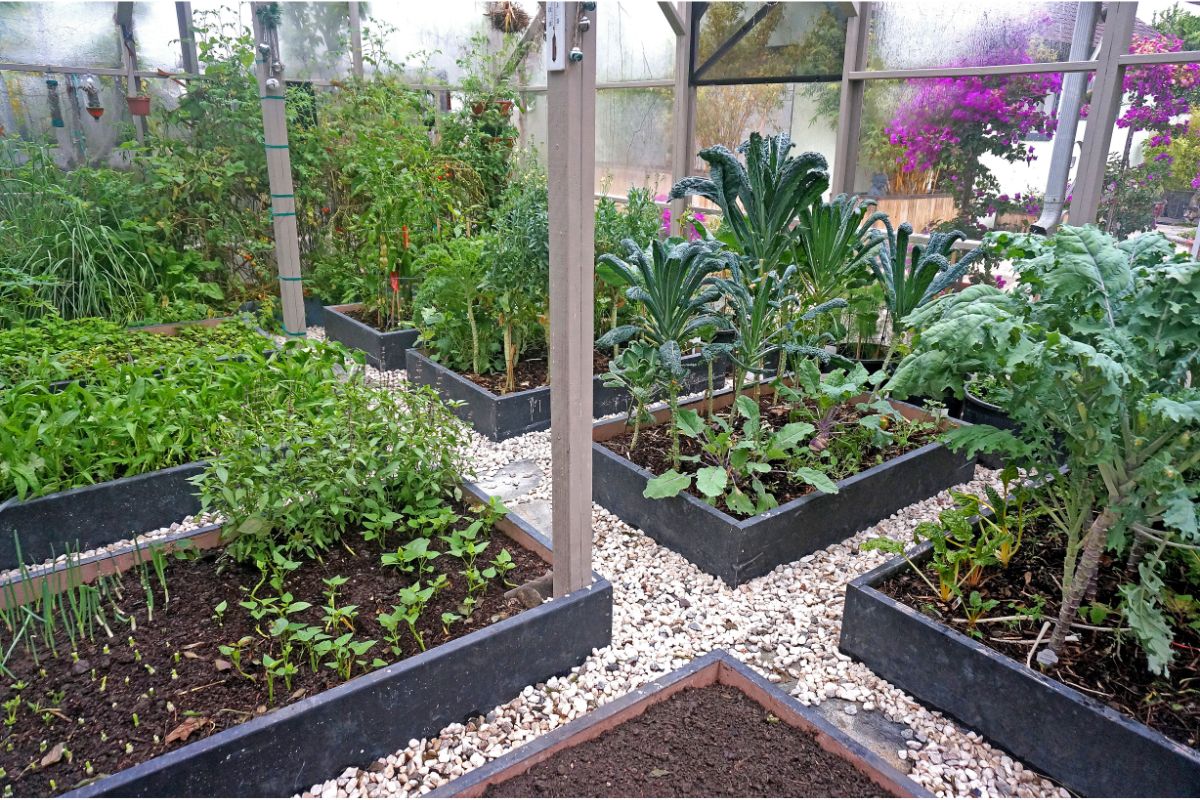 Viva a natureza: como fazer um jardim orgânico em casa - Canva
