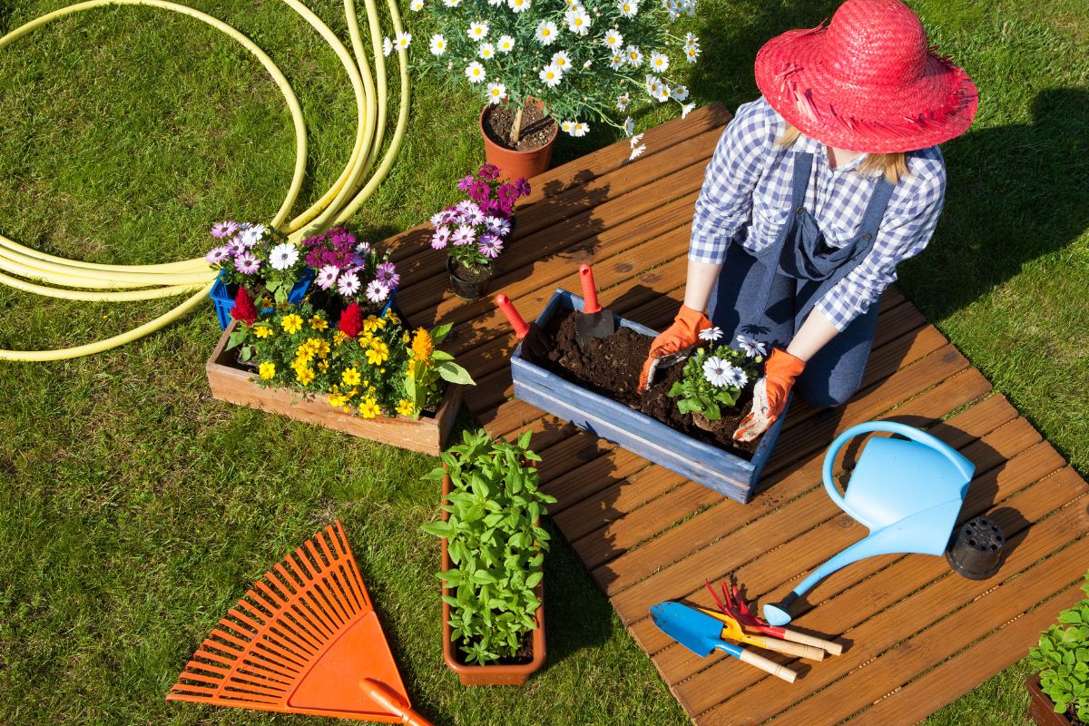 Florescer: dicas de jardinagem para Iniciantes - Reprodução Canva