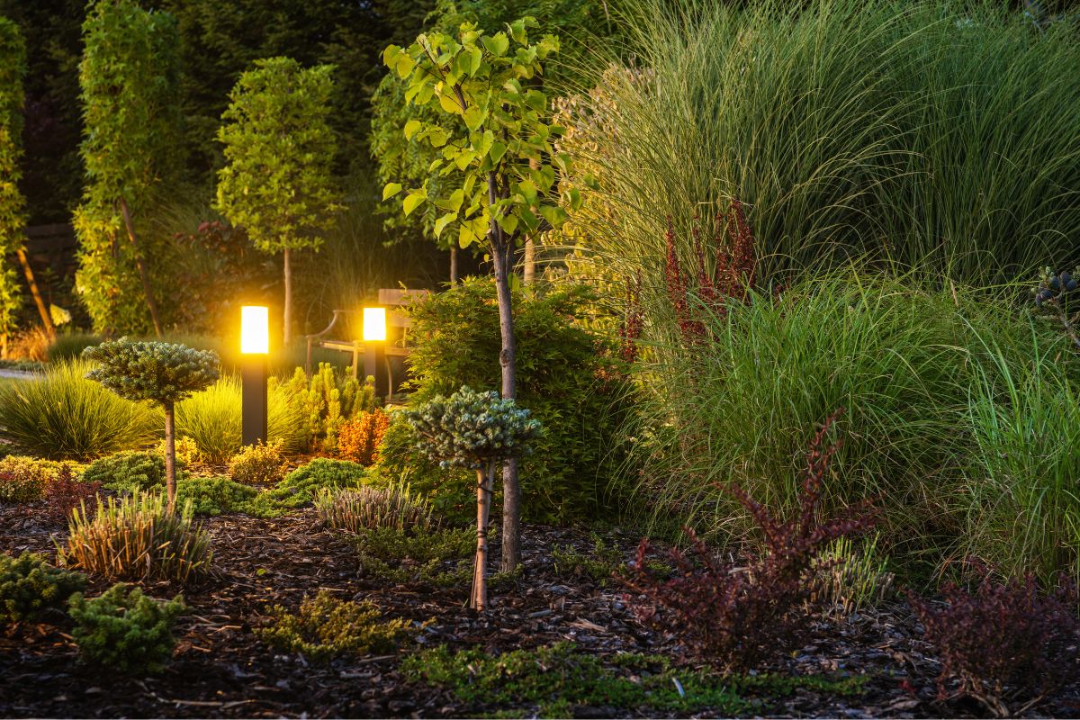 Ilumine seu jardim; como usar luzes para criar um ambiente aconchegante - Canva