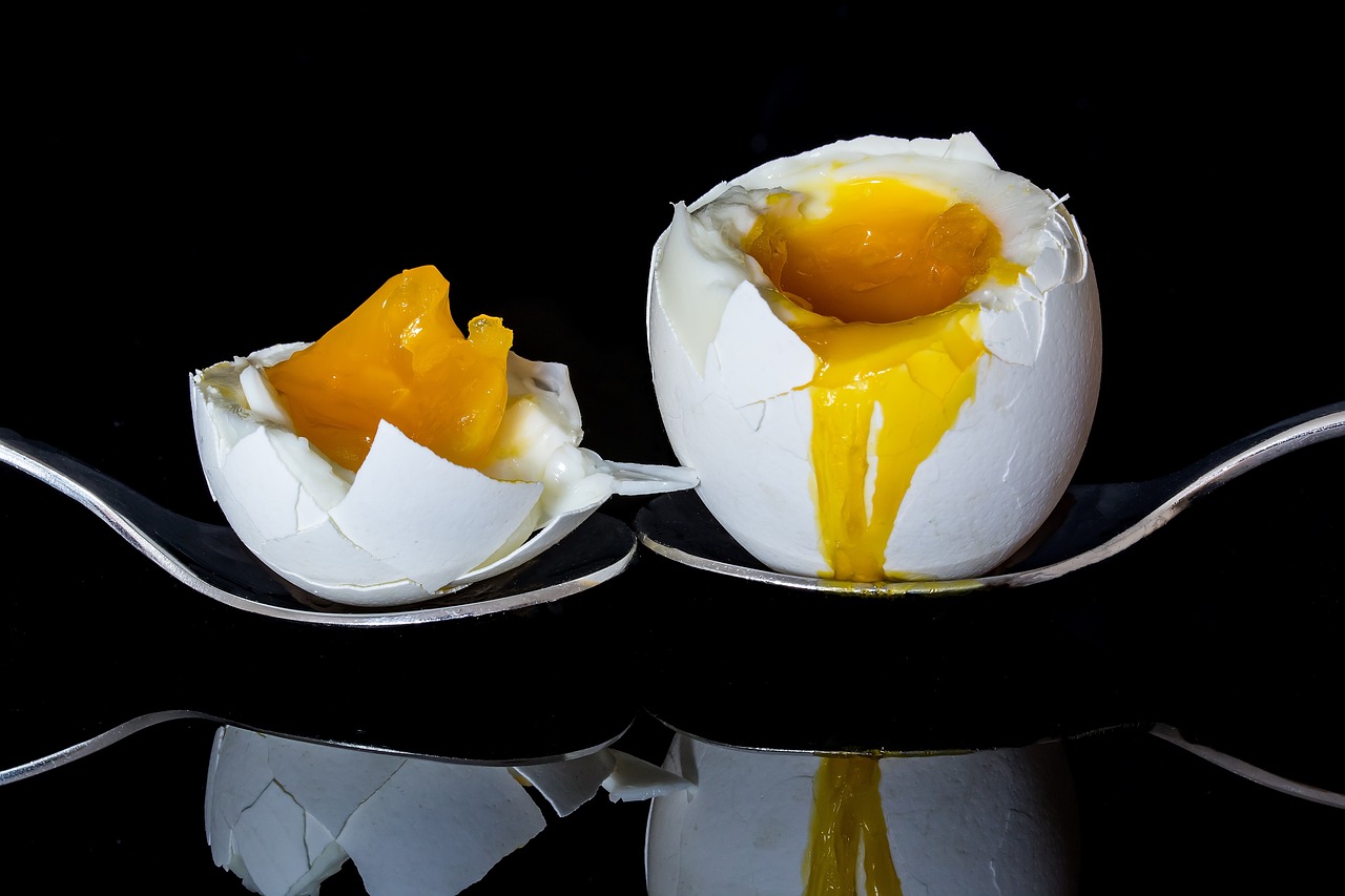 Casca de ovo; 5 dicas de como usar; dessa, você não sabia. Foto: Pixabay