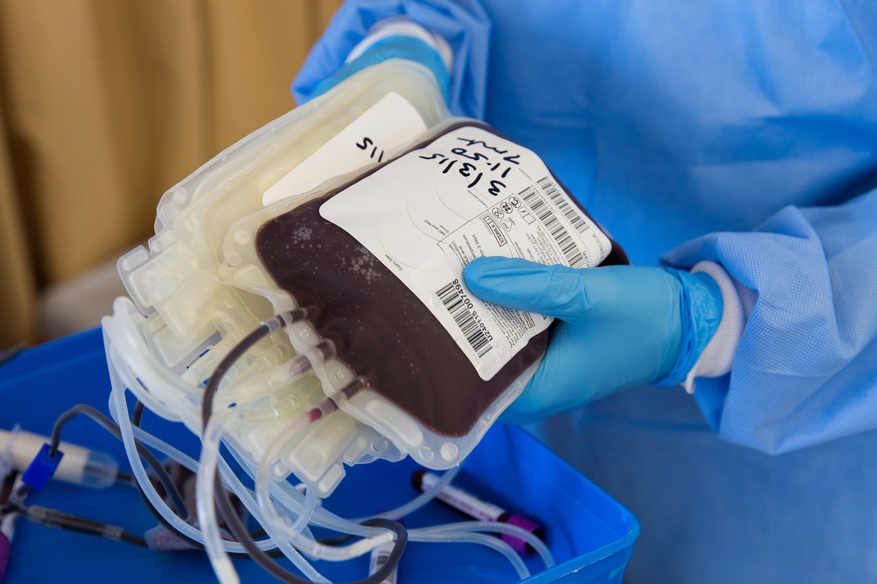 Hemocentro de Cuiabá busca doadores de sangue raro. Foto: Pixabay