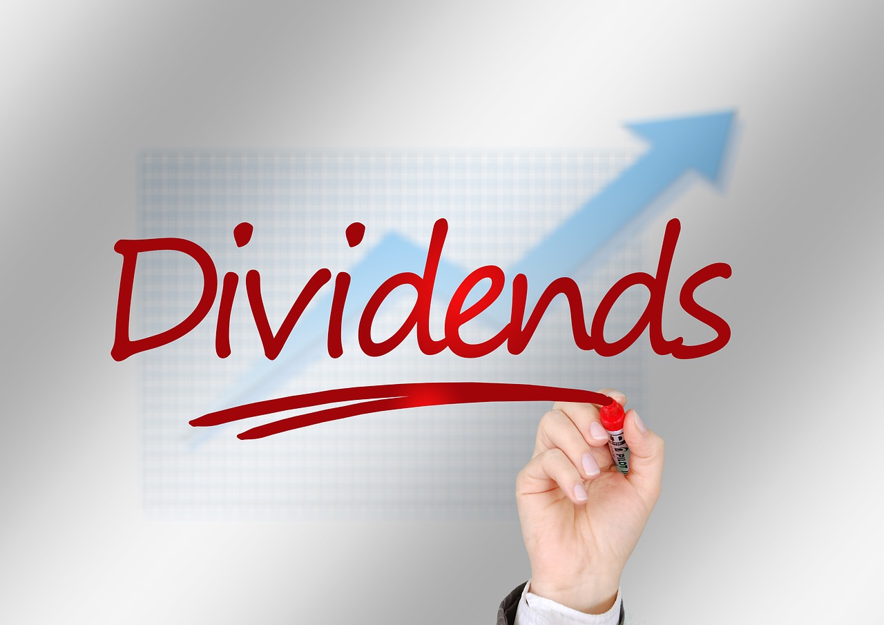 Dividendos: confira quais foram as melhores ações pagadoras de dividendos no ano de 2021 - Reprodução Pixabay