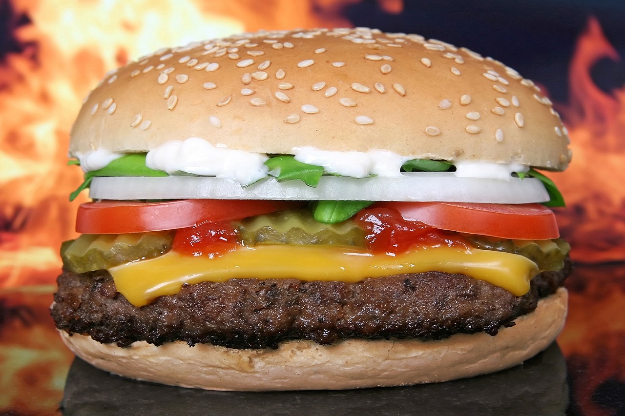 Burger King (BKBR3) BofA e BTG recomendam compra e jogam preço-alvo para R$14,00 - Reprodução Pixabay