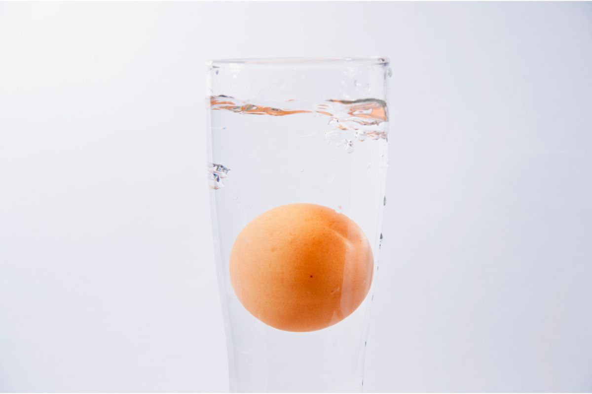 Como saber se o ovo está estragado? Truques e dicas para descobrir fácil - Fonte: Canva