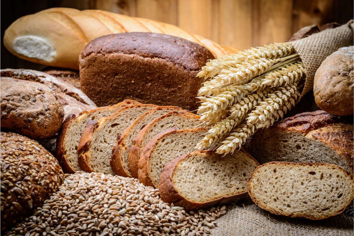 Qual o melhor pão para emagrecer? Existe esse mesmo? Veja o que nutricionista afirma - Fonte: Canva