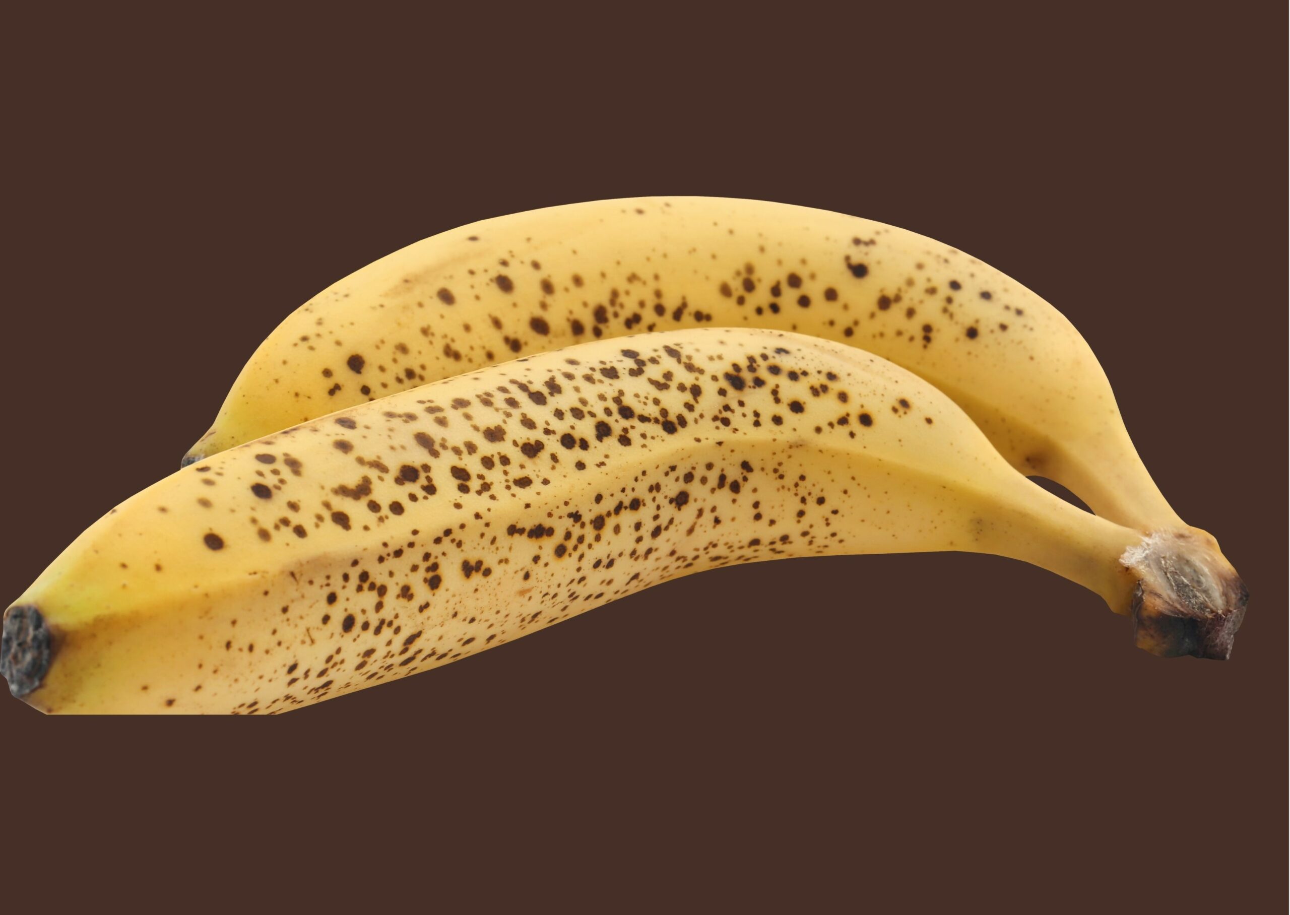 Banana Nanica - Canvas