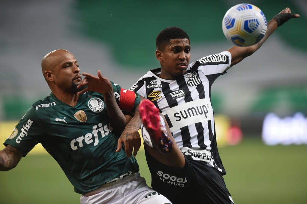 Foto: Reprodução/Ivan Storti/Santos FC
