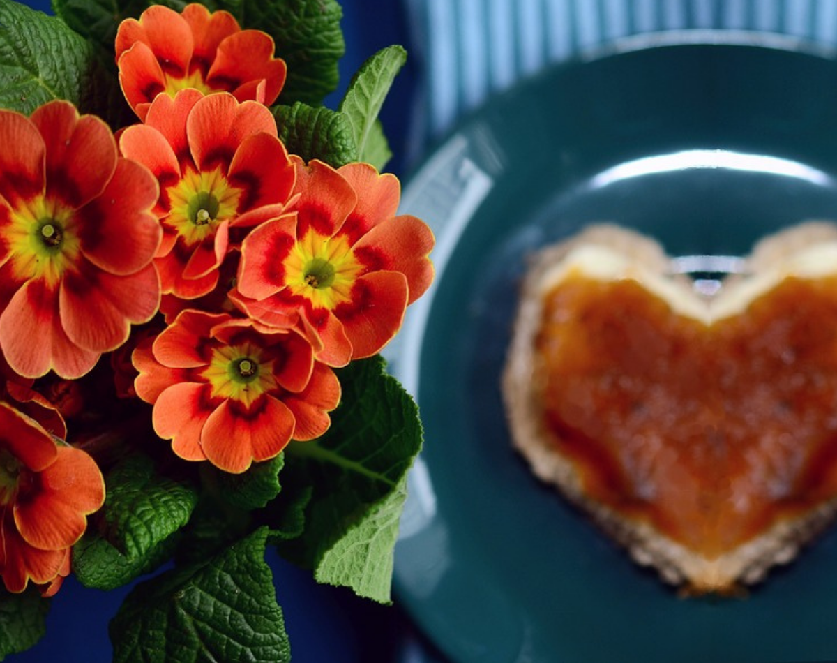 Aprenda como preparar uma mesa linda de café da manhã com essas dicas/ Imagem reproduzida de Pixabay