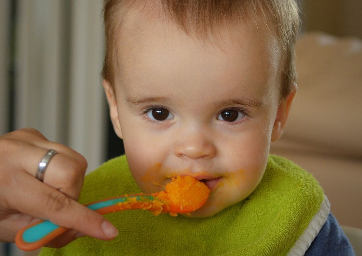 comida de bebê caseira - reprodução do site pixabay