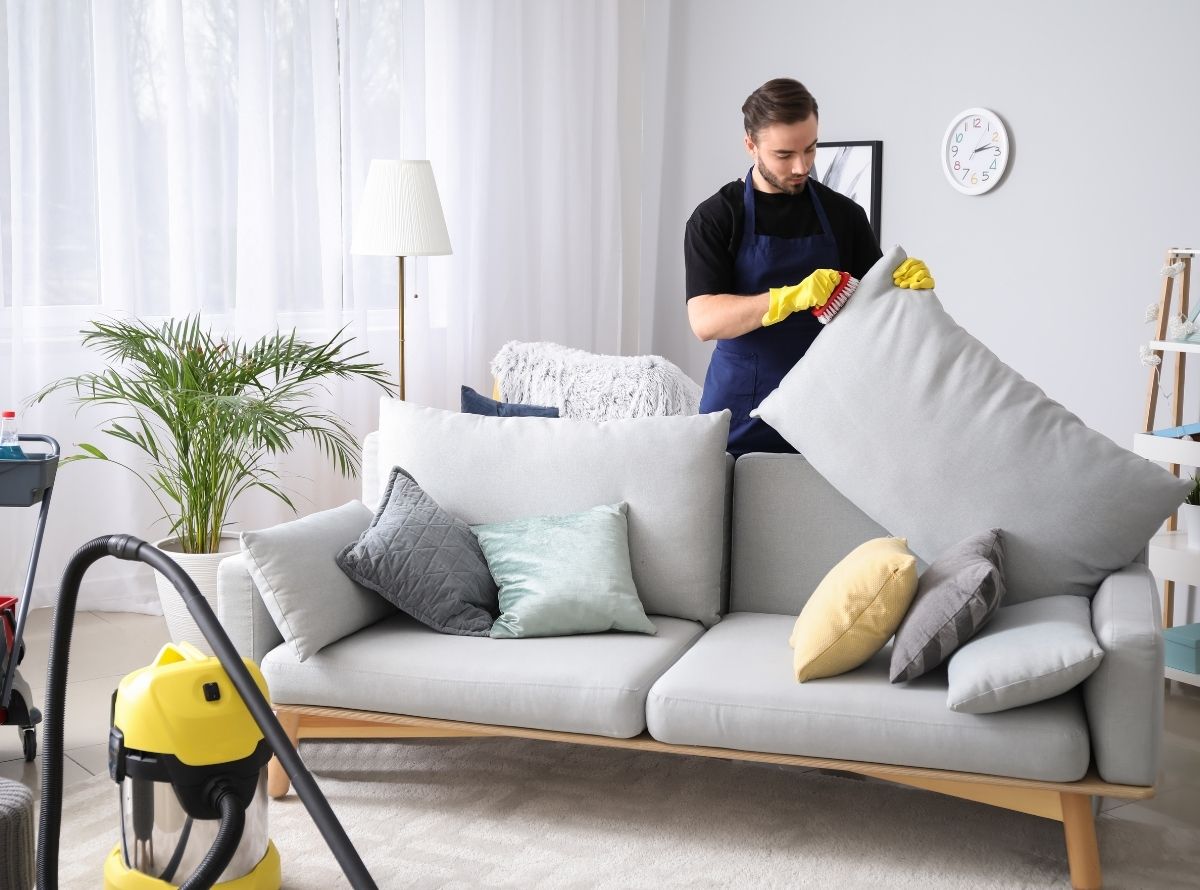 Dicas caseiras simples para limpar sofá - Imagem Ilustração