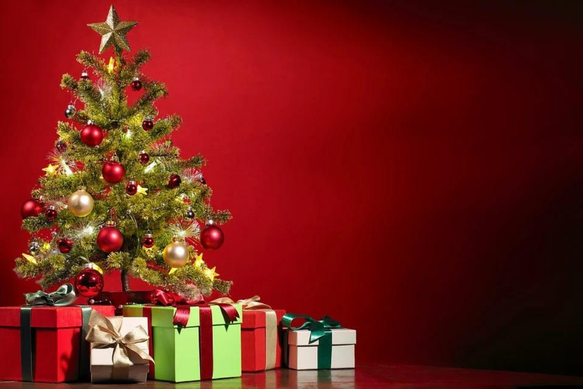Sem dinheiro para comprar uma árvore de Natal? Confira essas opções/ Imagem reproduzida de Facebook
