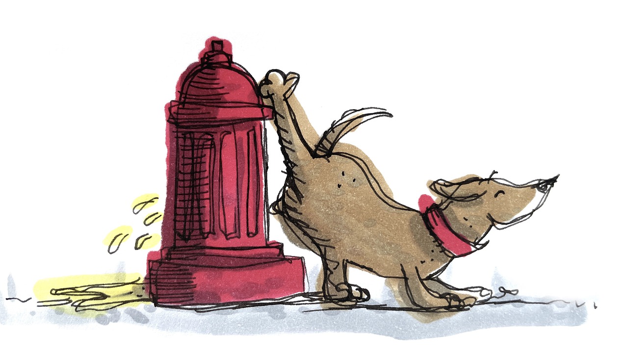 Xixi de cachorro saiba como eliminar manchas e o mau cheiro de sua casa - pixabay