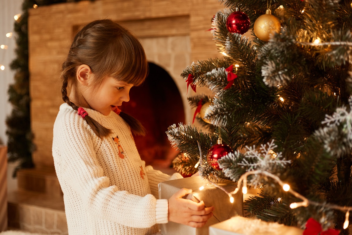 Decoração de Natal 2021, confira as tendências para as festas que se aproximam - Reprodução de imagem do Freepik