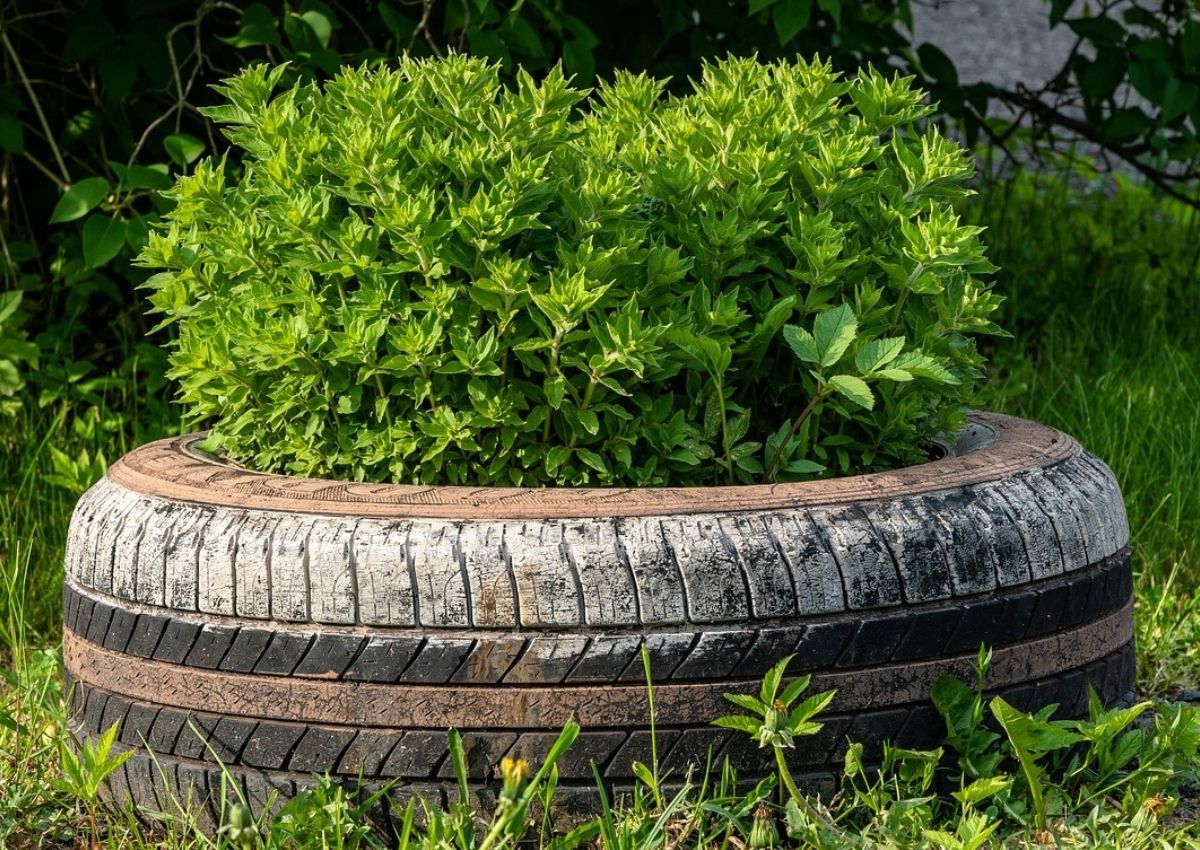 horta em pneu - reprodução do site pixabay