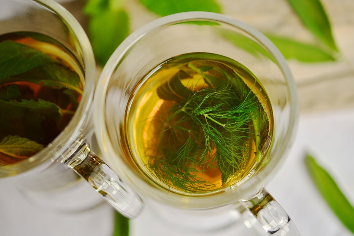 Por que ter erva doce em casa? Conheça os benefícios e se surpreenda/ Imagem reproduzida de Pixabay