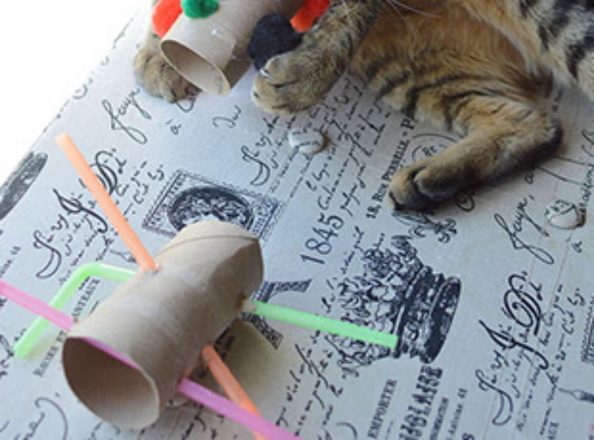 Rolo de papel higiênico, brinquedos, gatos - Imagem Pinterest