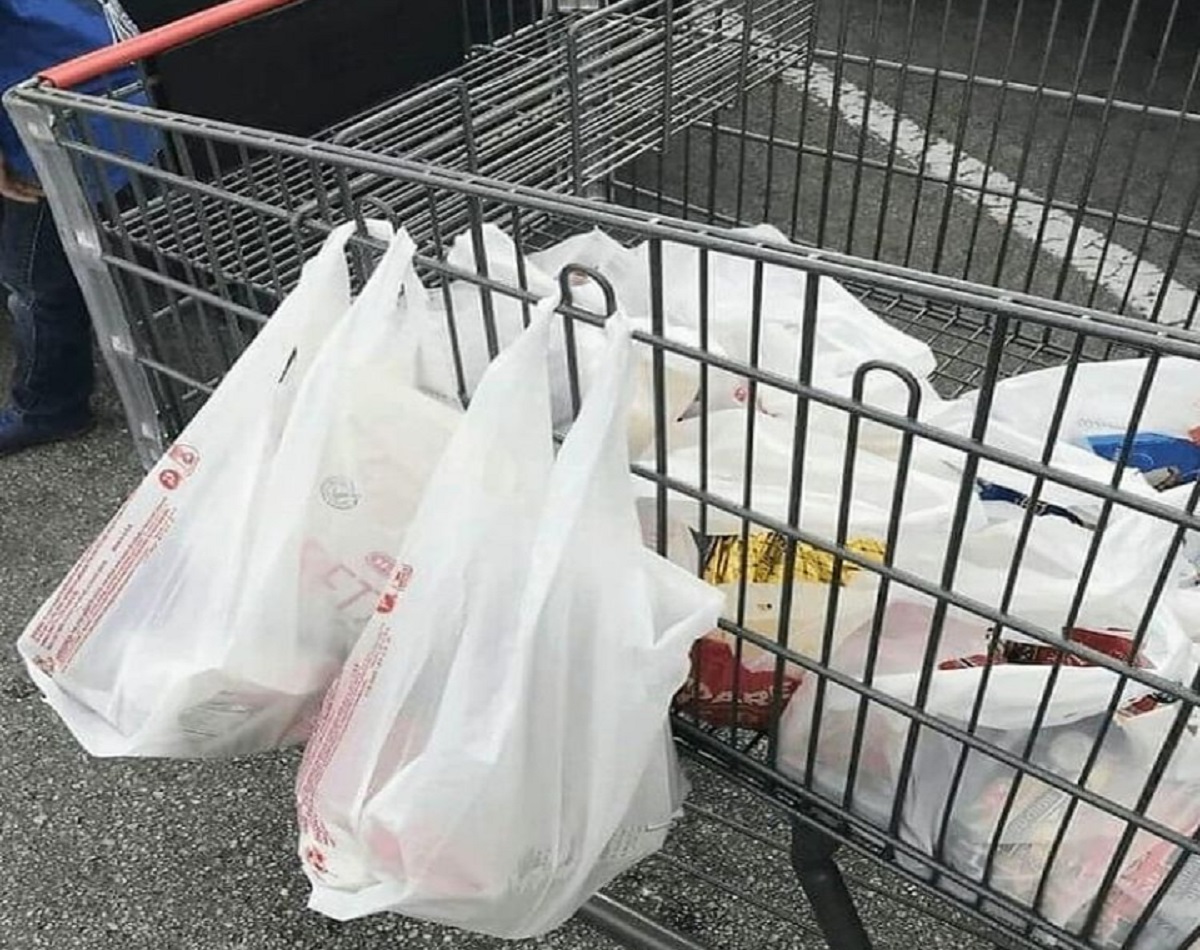 sacolas de supermercado-´pixabay