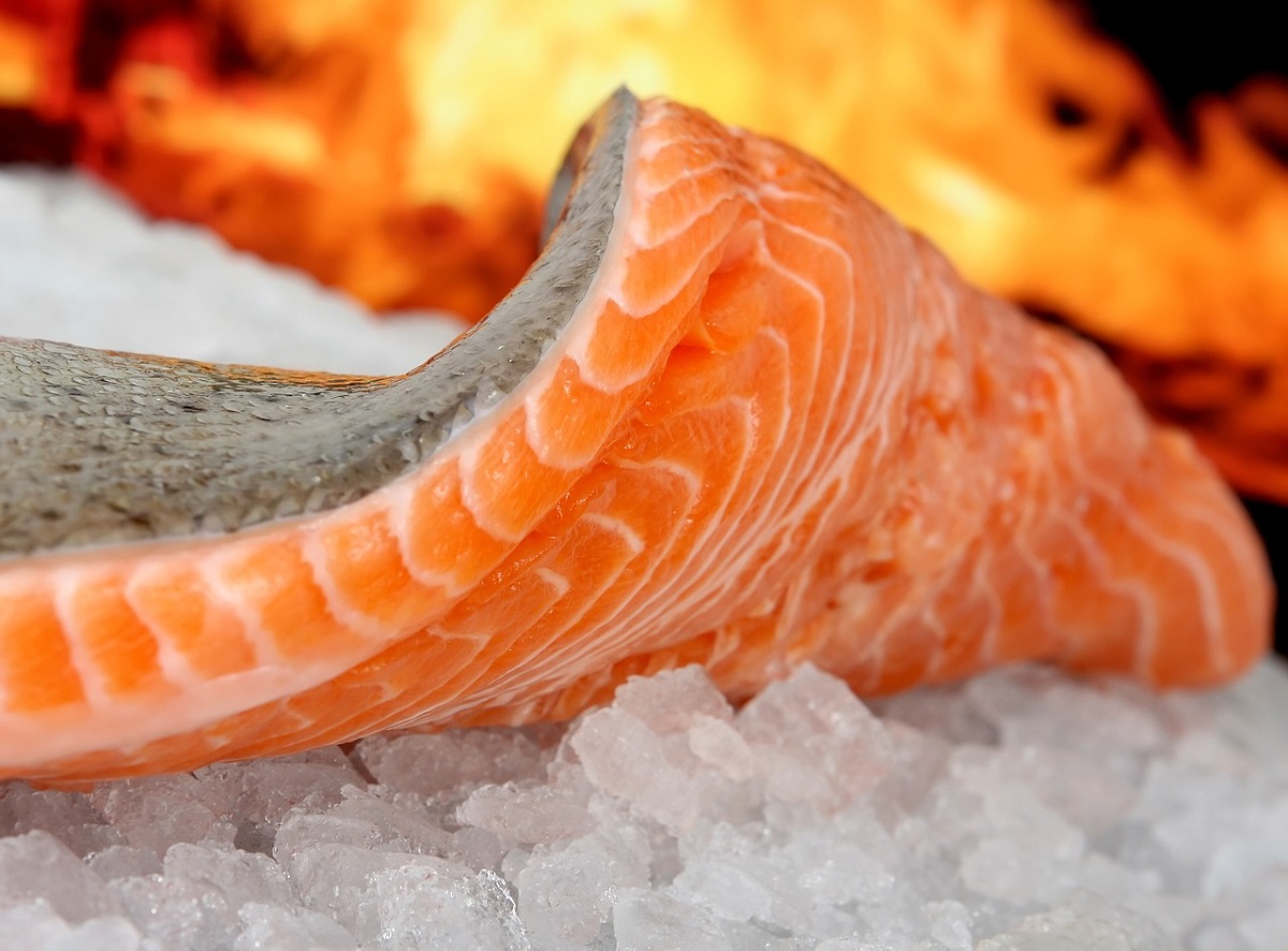salmão-pixabay
