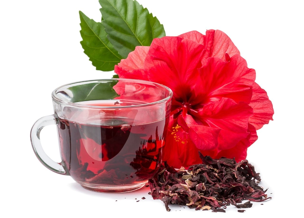 Chá de hibisco emagrecedor veja como preparar e saiba os benefícios - reprodução do site Canva