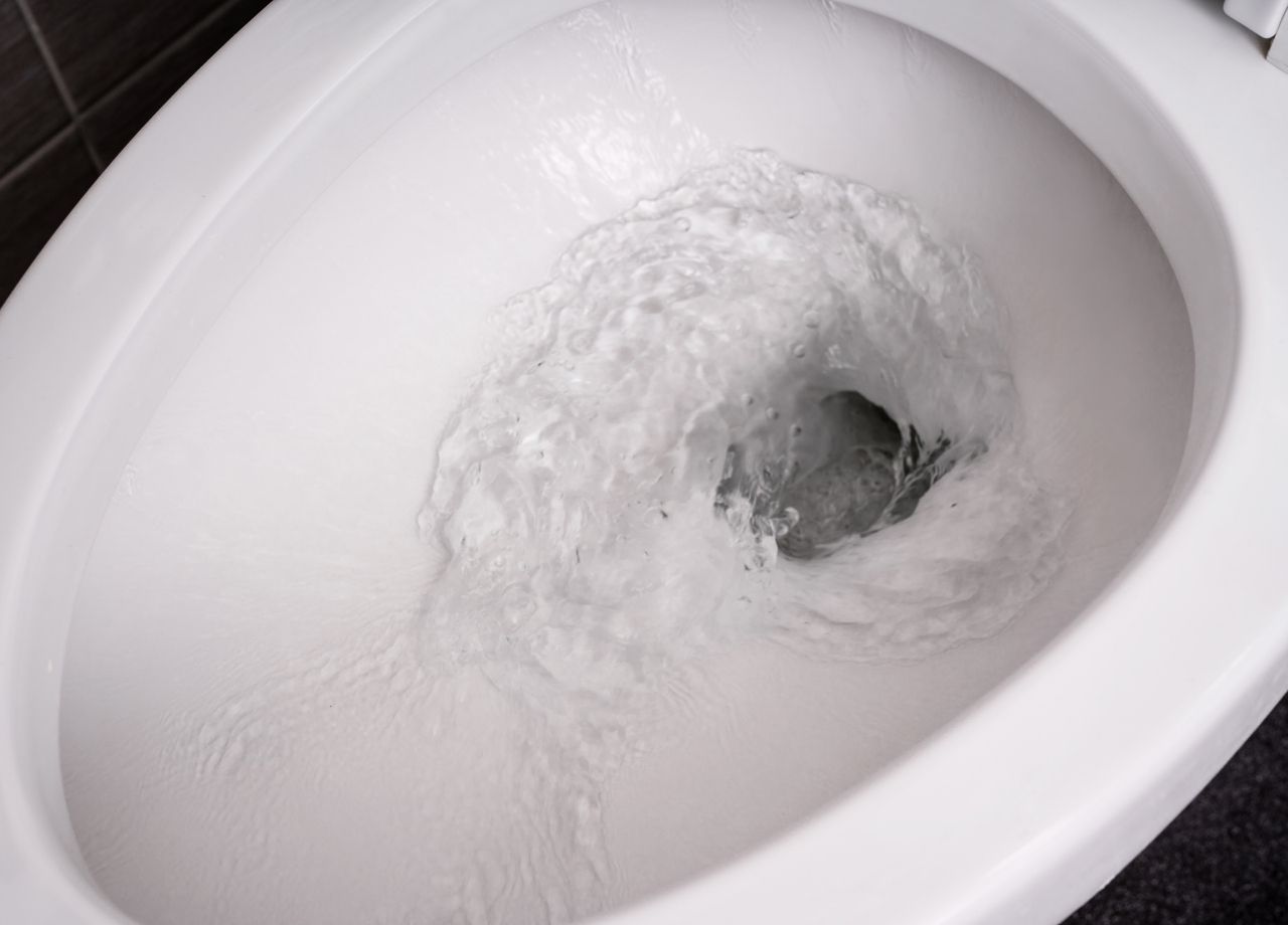 Desentupa o vaso sanitário em menos de 10 segundos com essa técnica - reprodução do site Canva