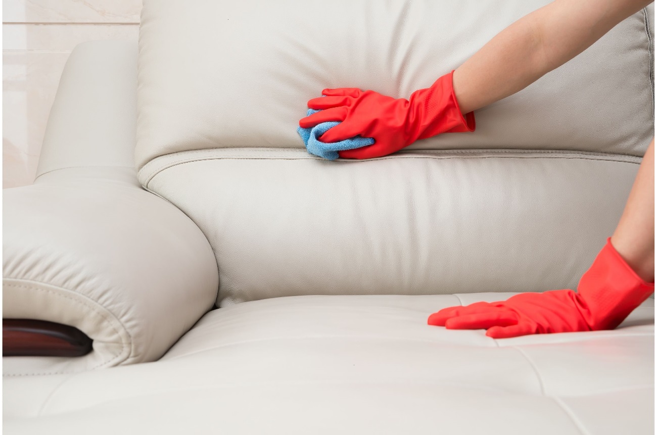 Limpeza de estofados conheça algumas misturas poderosas para limpar seu sofá - canva (2)