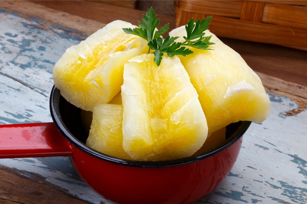 Benefícios da mandioca saiba por que você deve inserir esse legume na sua dieta - Reprodução de imagem do Canva