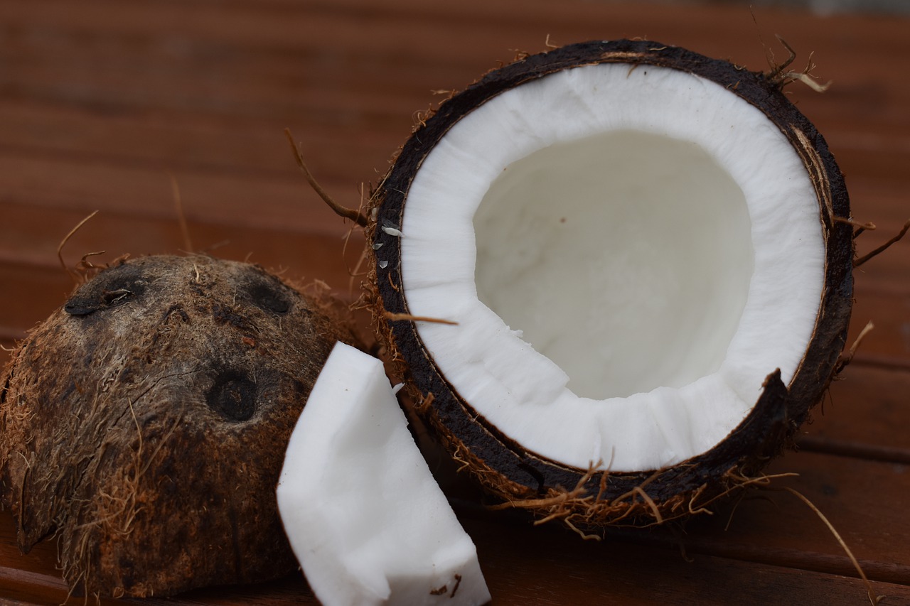 Biscoitinho de coco lowcarb: faça em casa e não saia da dieta - Reprodução Pixabay